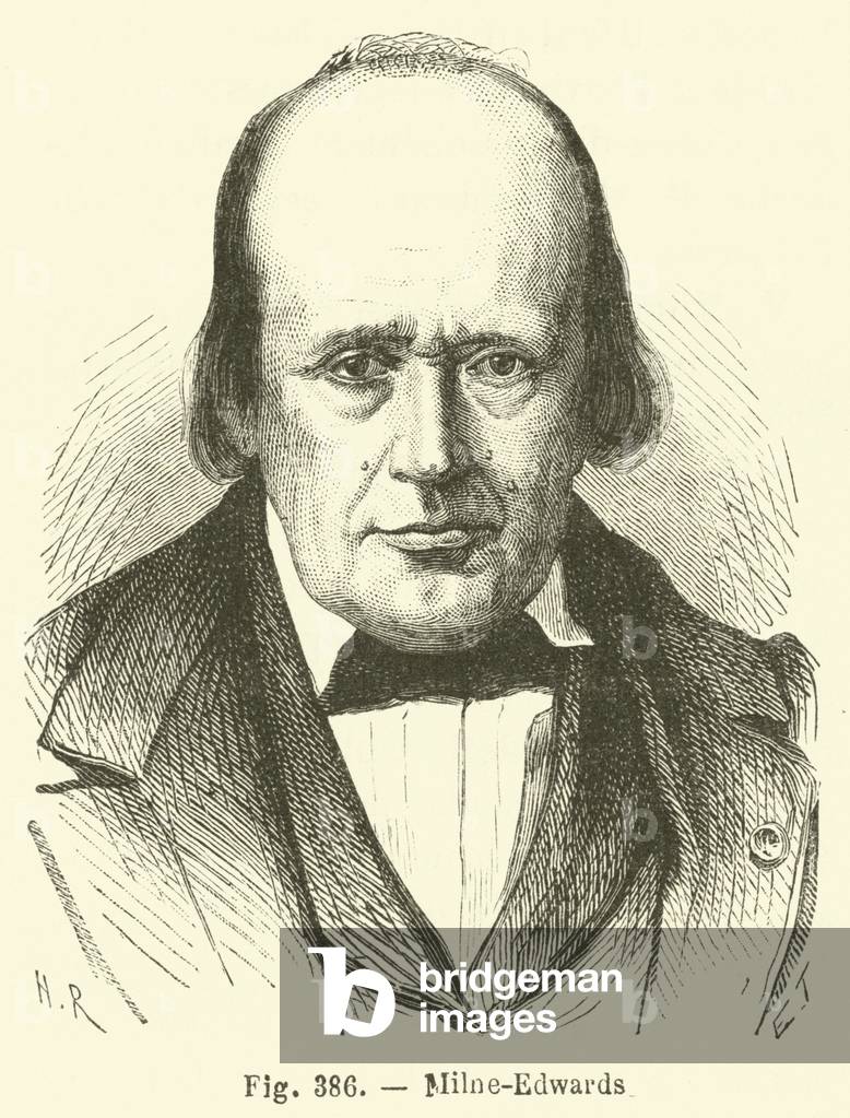 Milne-Edwards (engraving)