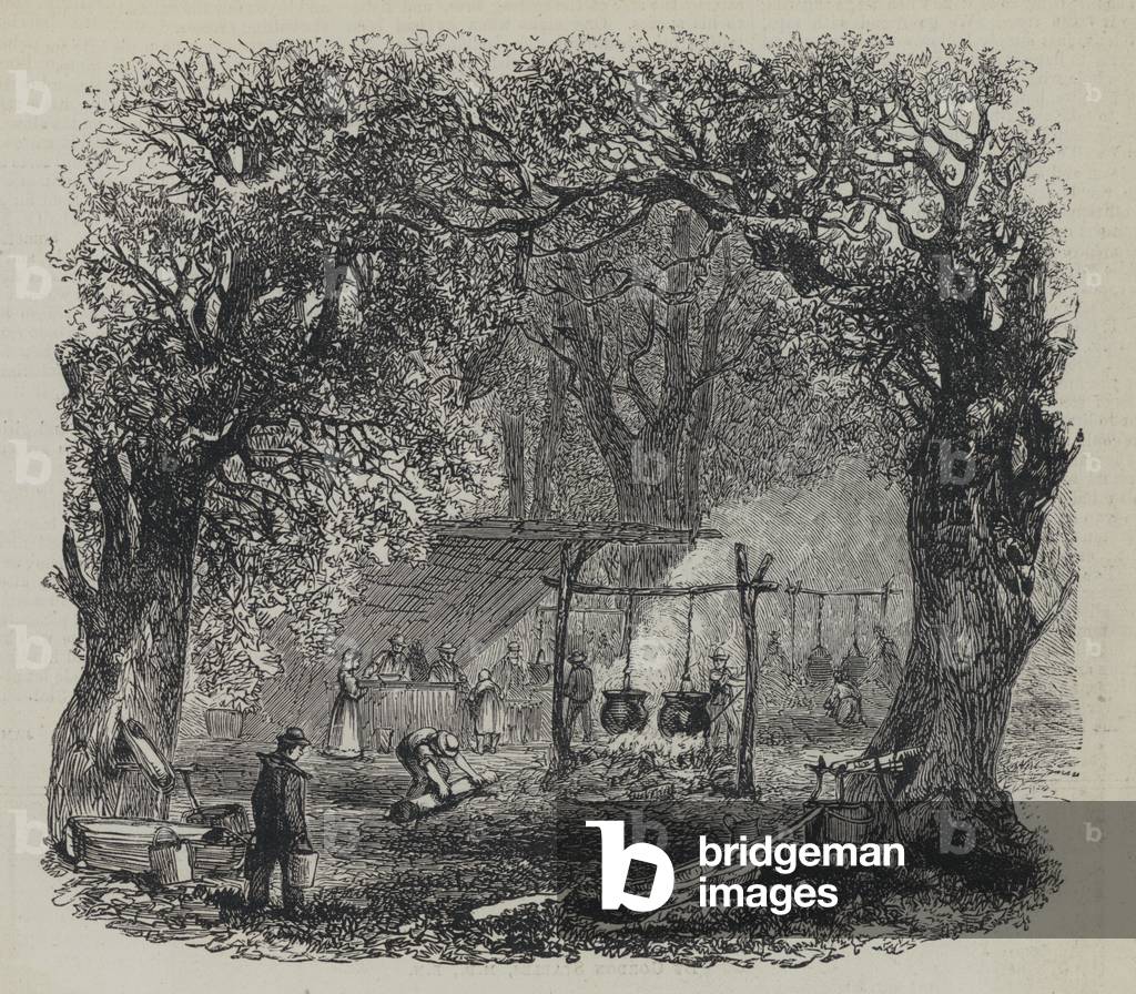 Going sugaring (engraving)