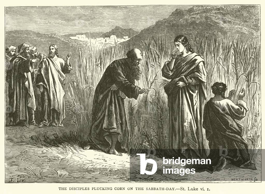 The Disciples plucking corn on the sabbath-day, St Luke, vi, 1 (engraving)