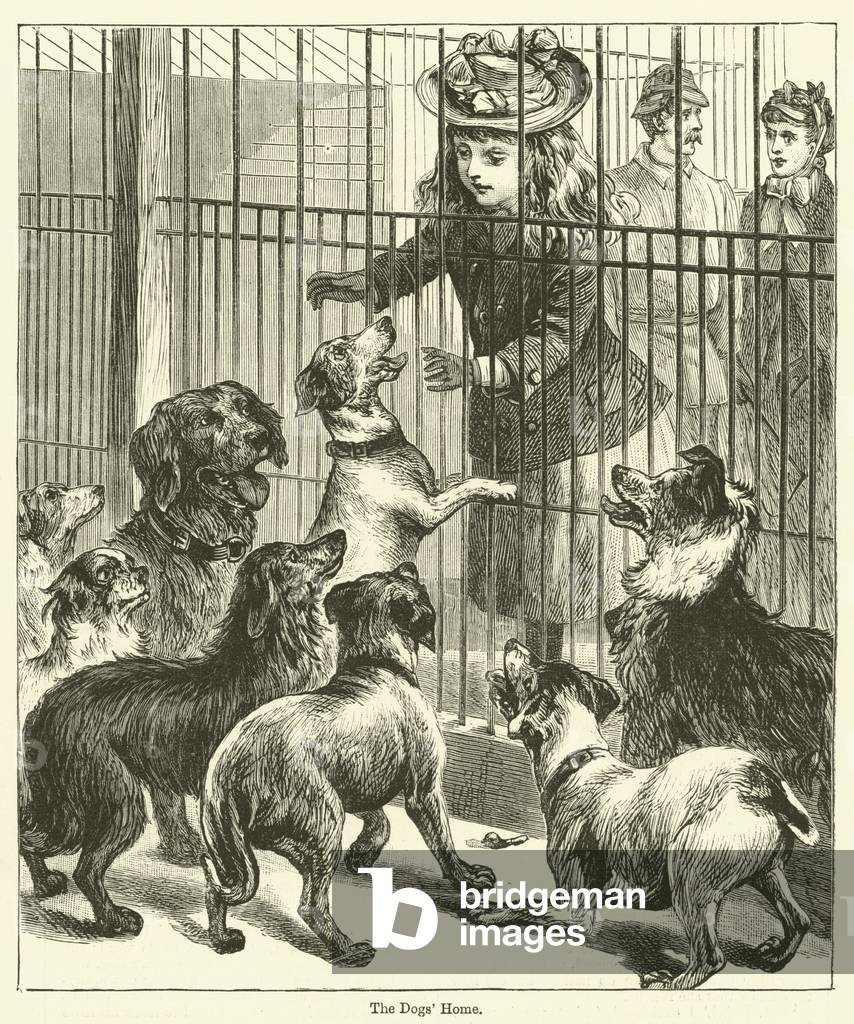 The Dogs' Home (engraving)