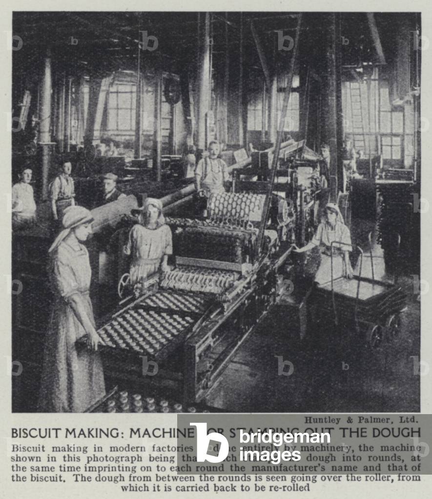Biscuit making, Machine for stamping out the dough (b/w photo)