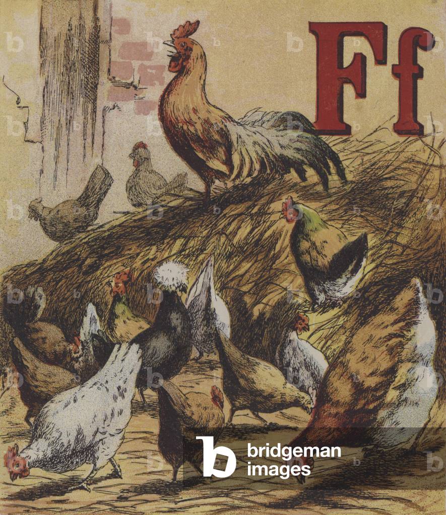 Illustration for John Bulls Farm Alphabet (colour litho)