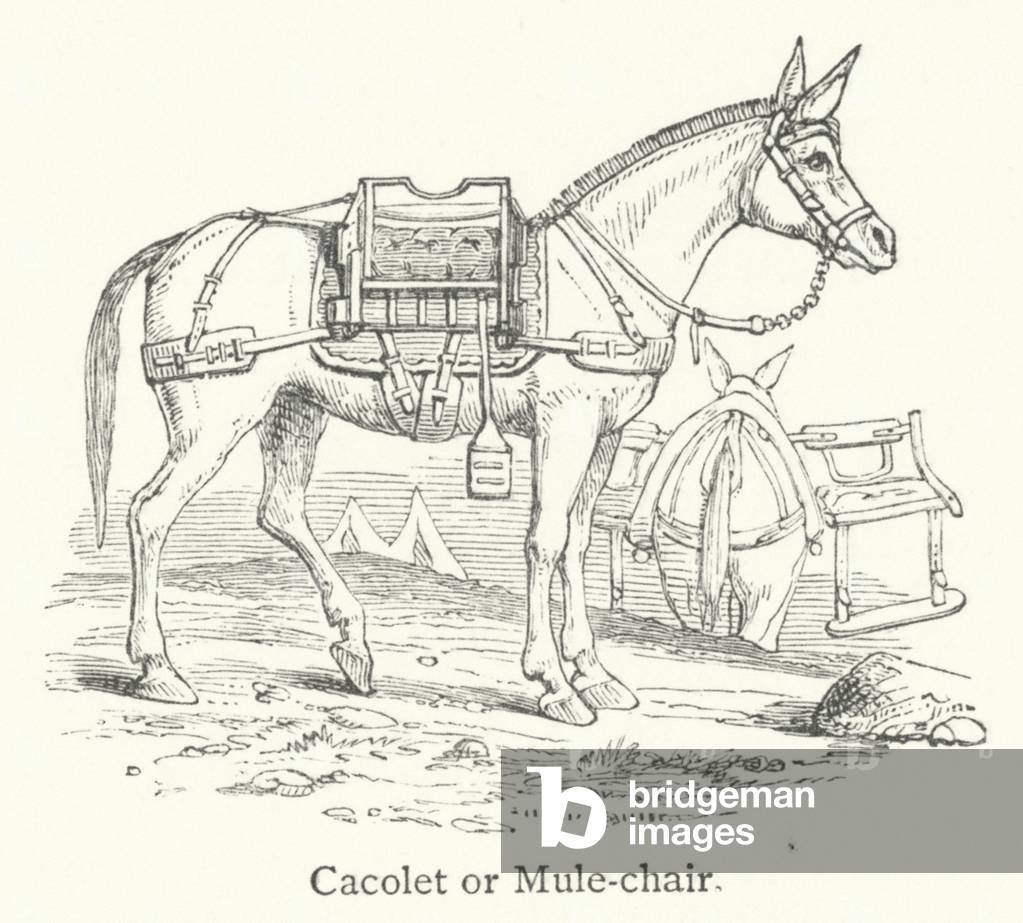 Cacolet or Mule-chair (engraving)