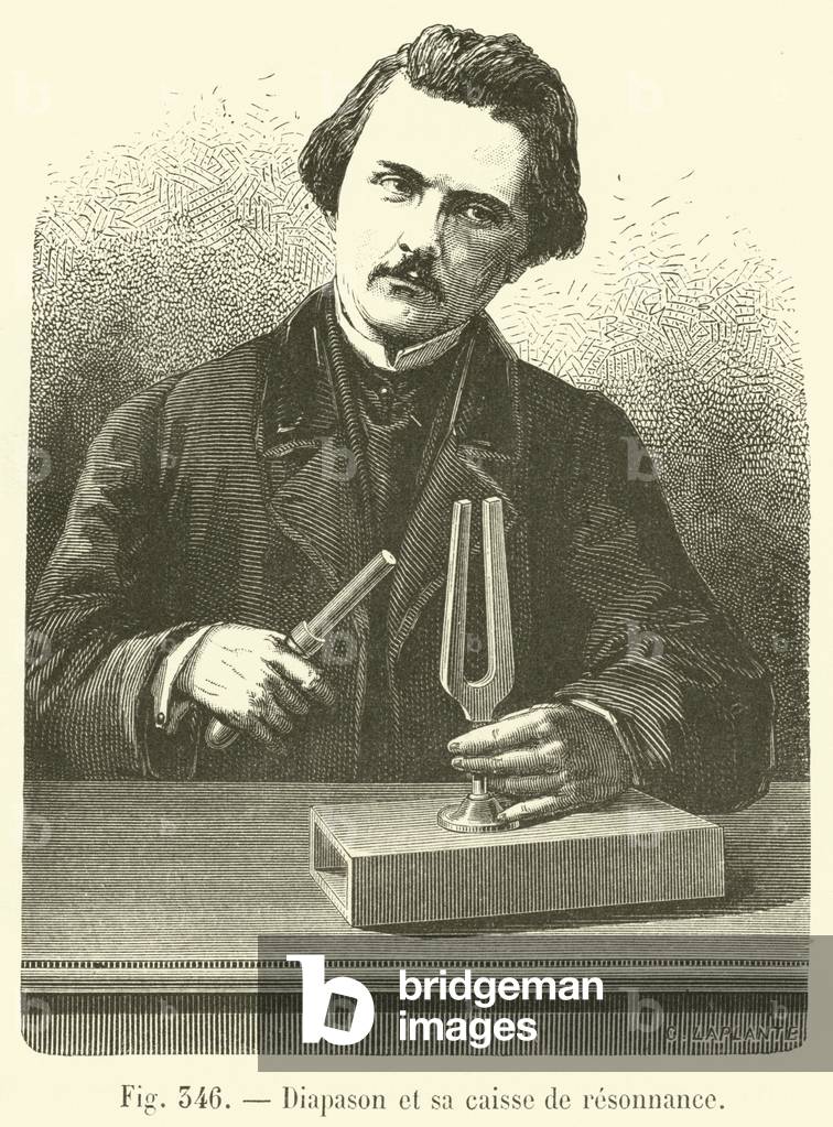 Diapason et sa caisse de resonnance (engraving)