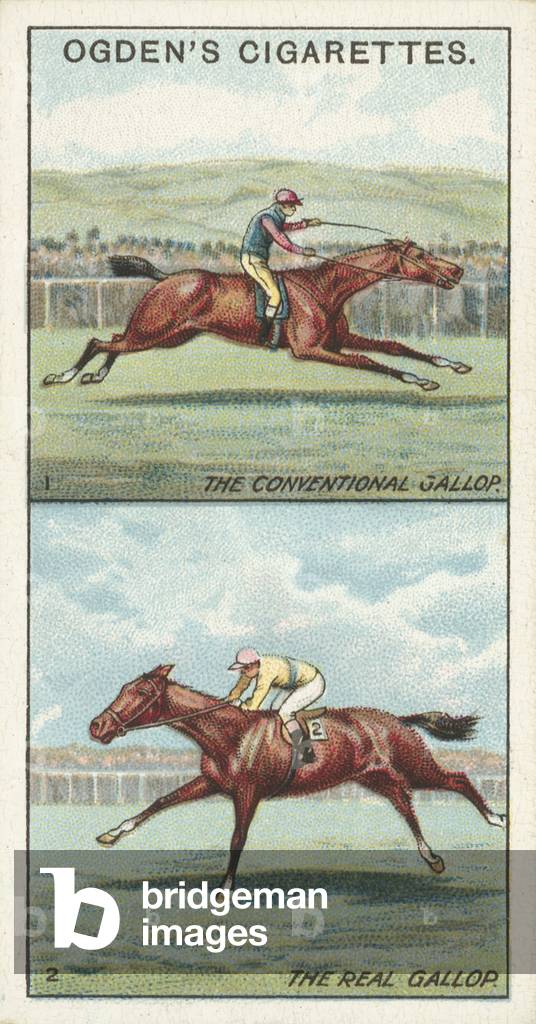 Marvels of Motion, The Conventional and the Real Gallop (chromolitho)
