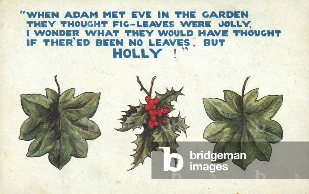 Fig leaves and holly leaves (colour litho)