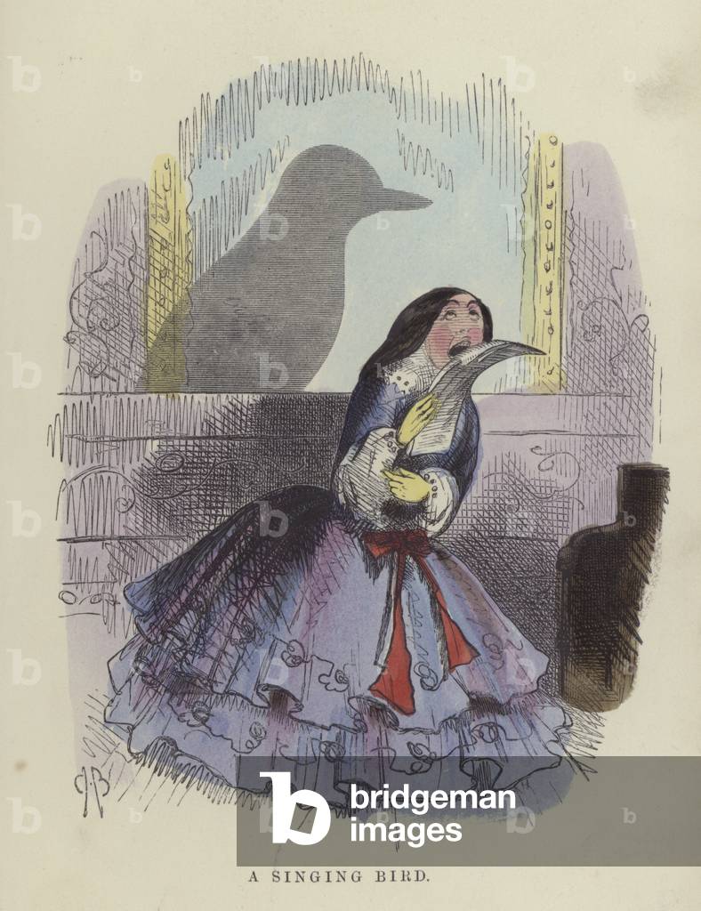 Singing Bird (coloured engraving)