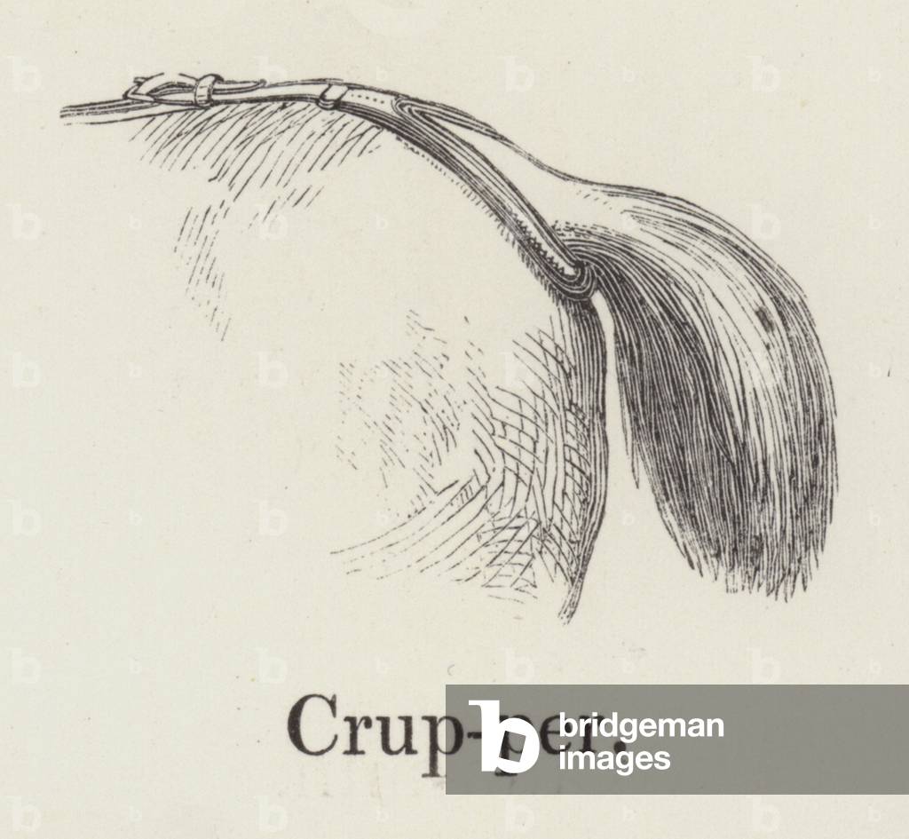 Crupper (engraving)