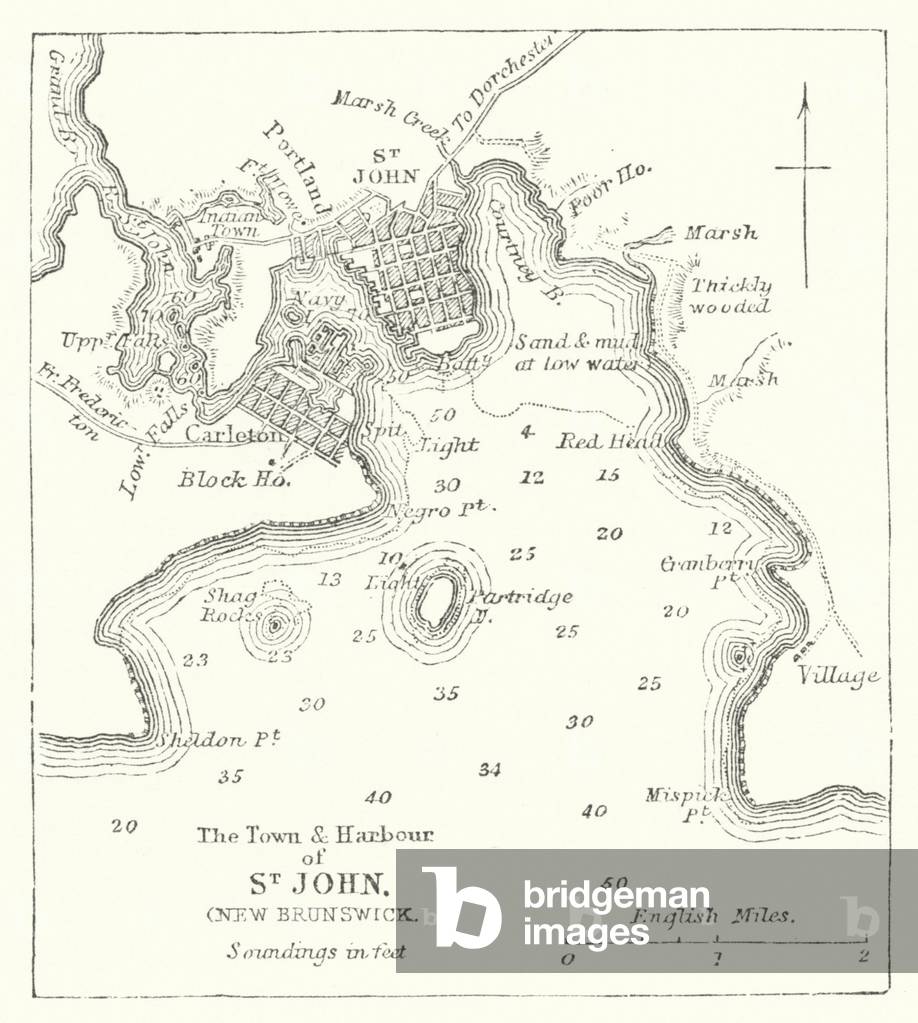 The Town and Harbour of St John, New Brunswick (engraving)