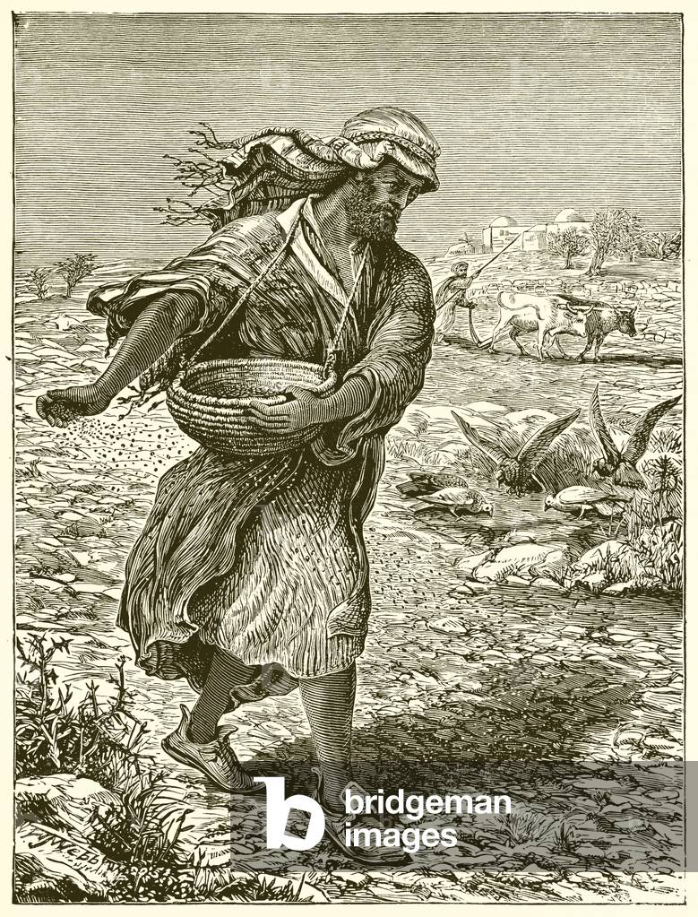 Sowing the Seed (engraving)