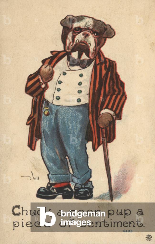 Bulldog dressed as a gentleman (colour litho)