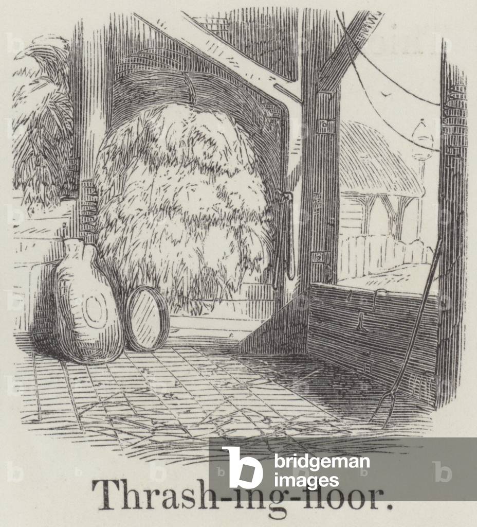 Thrashing floor (engraving)