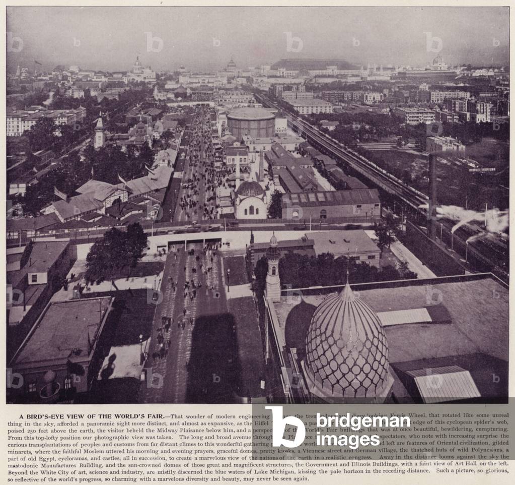 Chicago World's Fair, 1893: A Bird's-Eye View of the World's Fair (b/w photo)