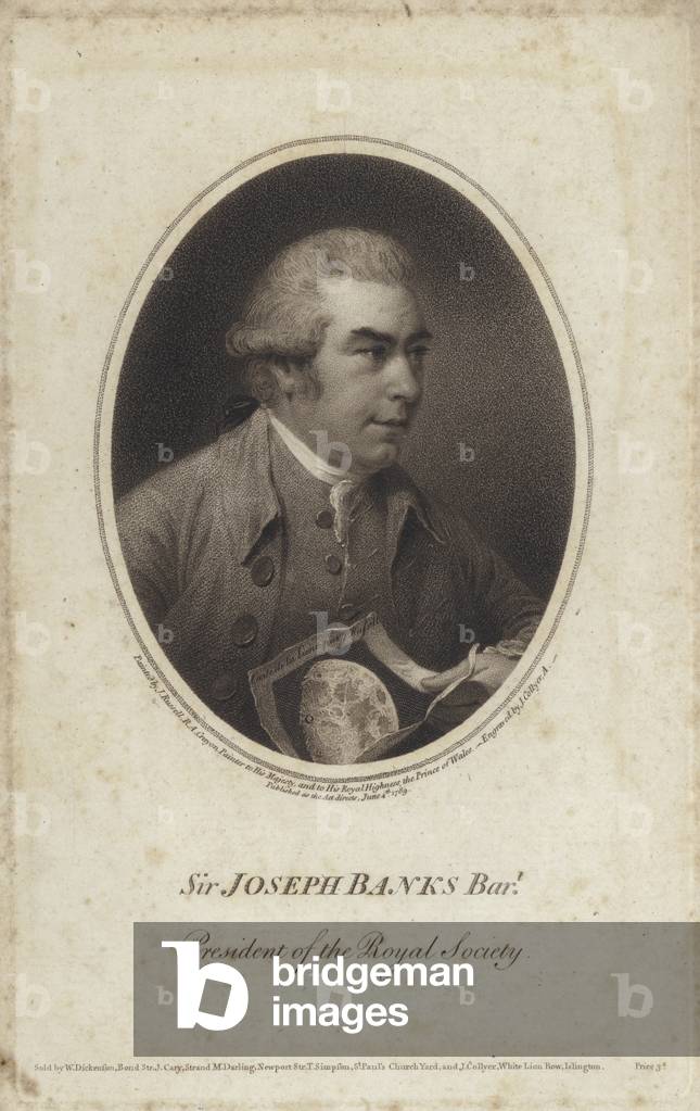 Sir Joseph Banks, English naturalist, botanist and President of the Royal Society (engraving)