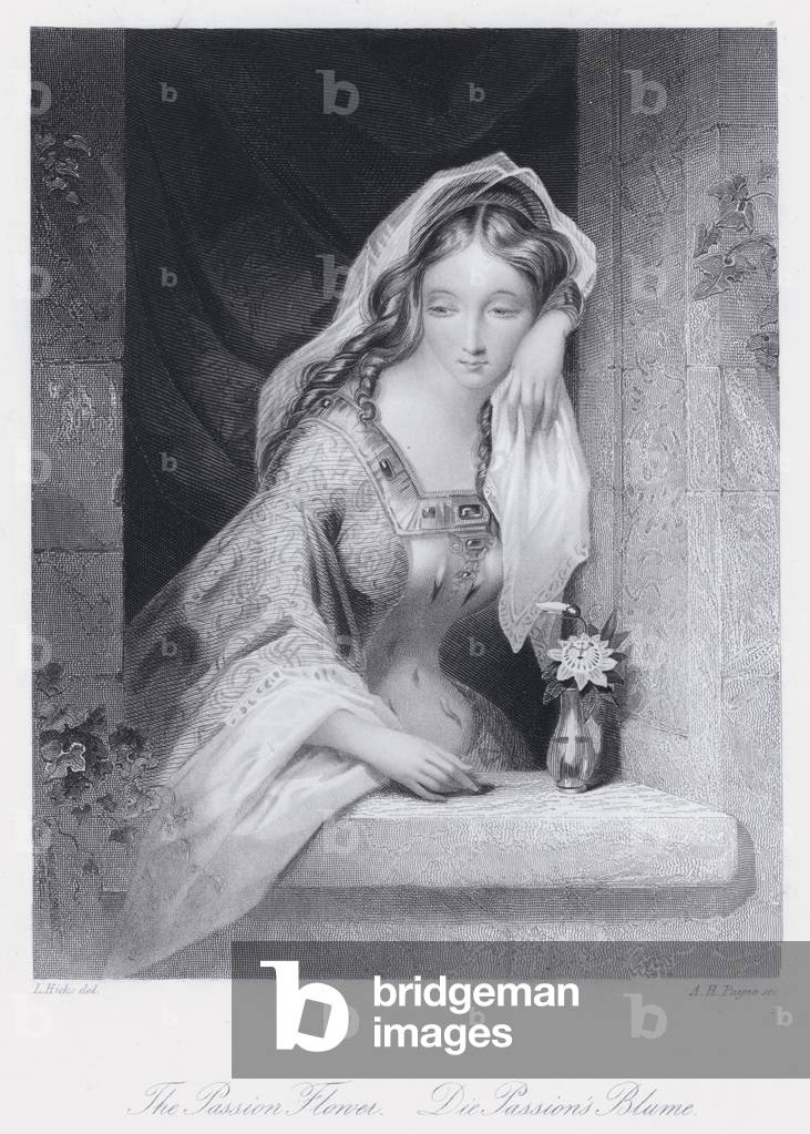 The Passion Flower (engraving)