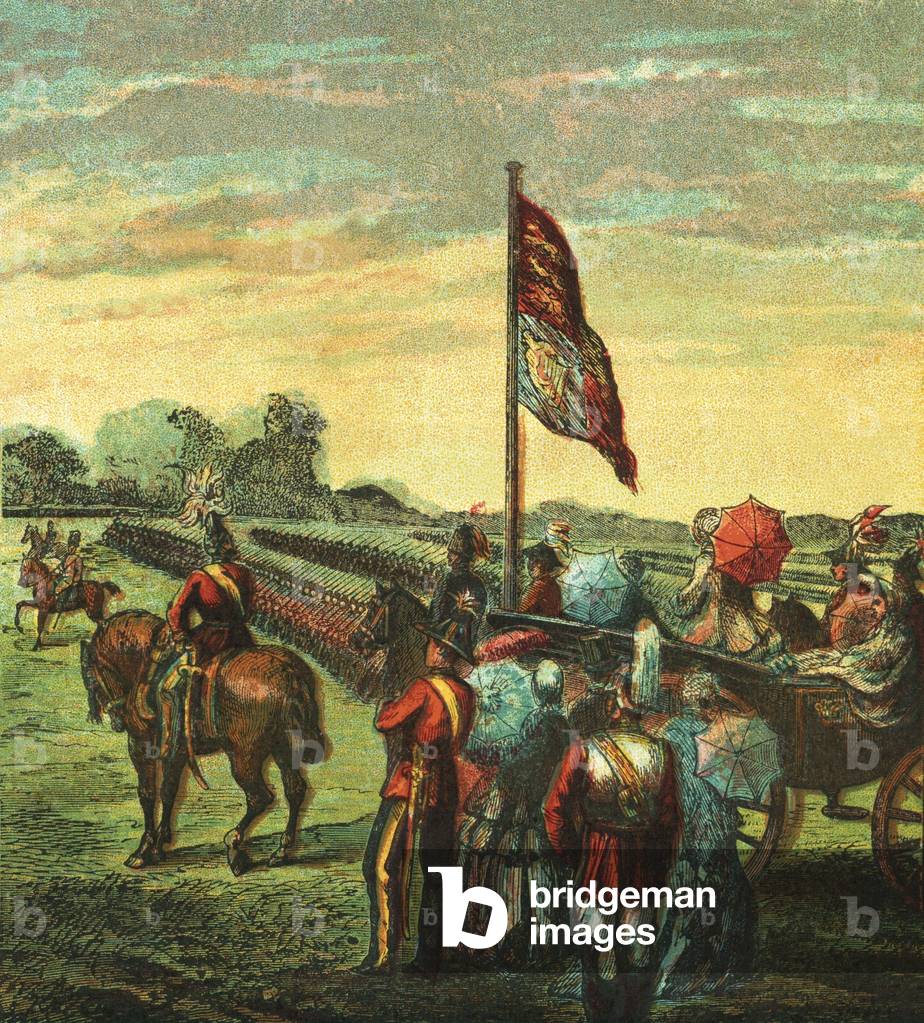 The Volunteer Review