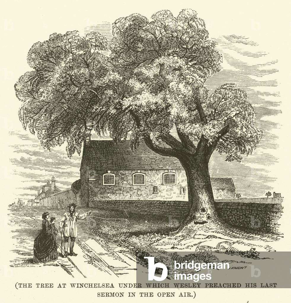 The tree at Winchelsea under which Wesley preached his last sermon in the open air (engraving)