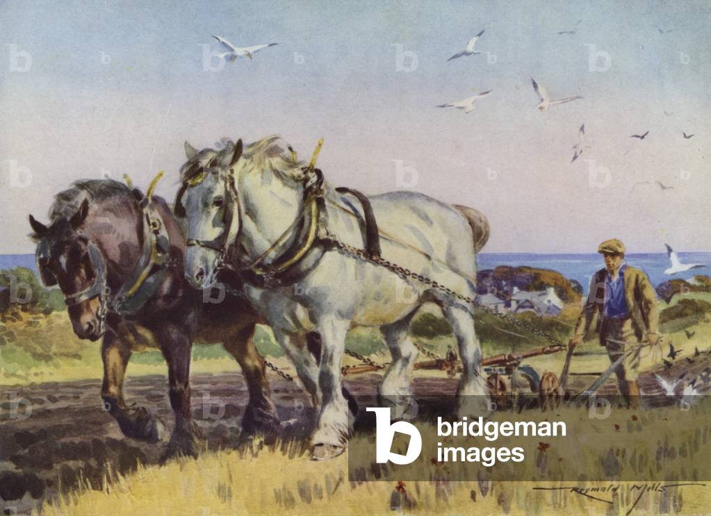Illustration for My Farm (colour litho)