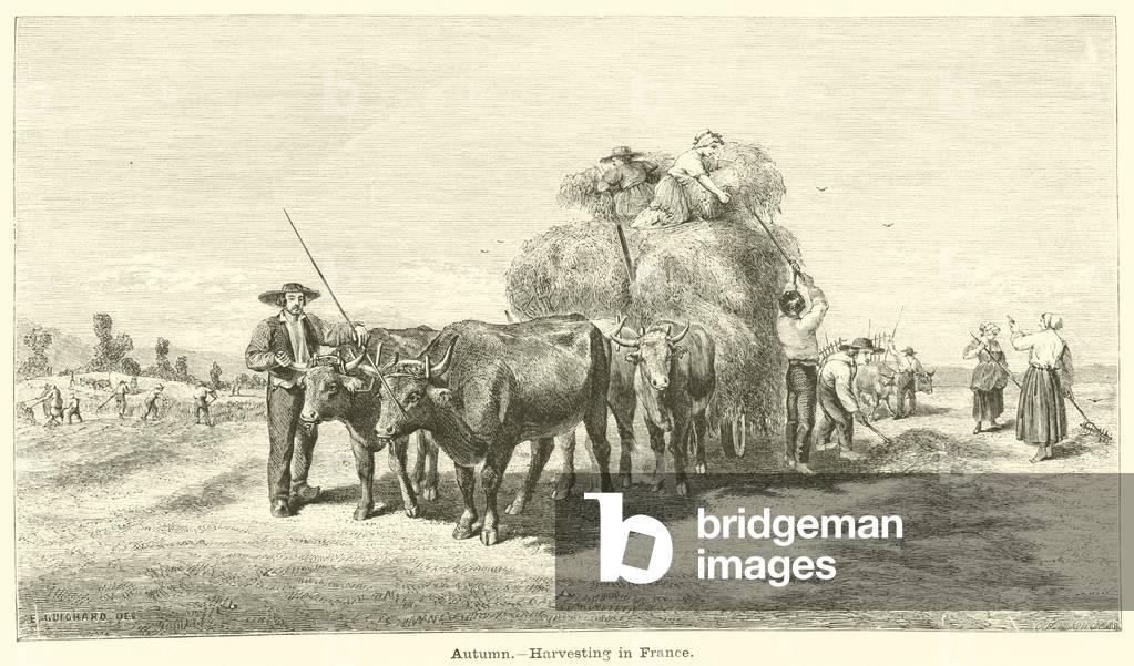 Autumn, Harvesting in France (engraving)