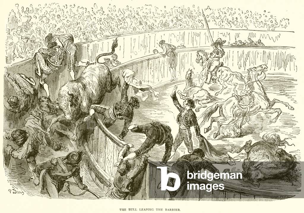 The Bull Leaping the Barrier (engraving)