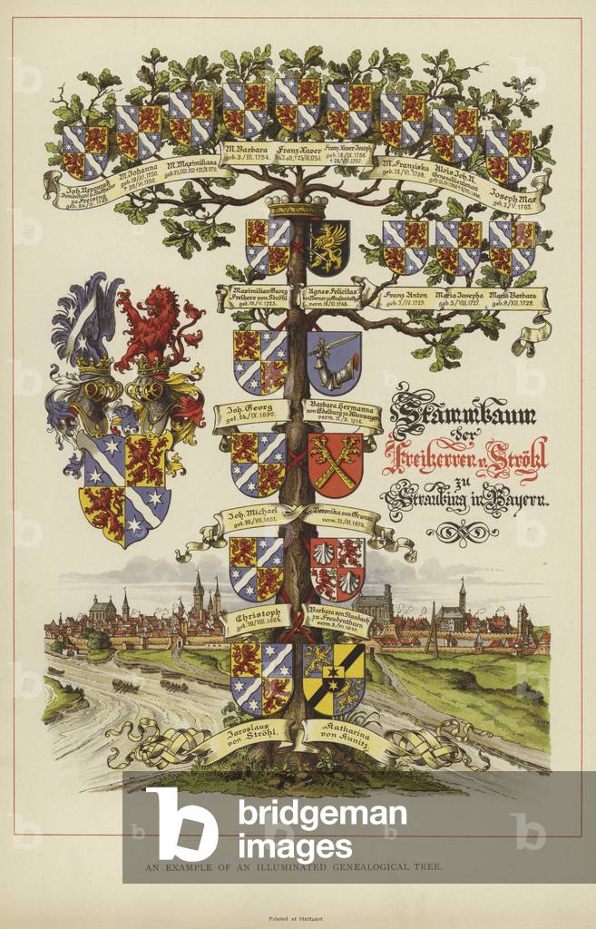An example of an illuminated Genealogical Tree (colour litho)