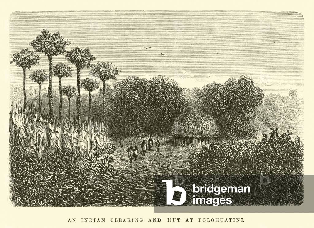 An Indian clearing and hut at Polohuatini (engraving)
