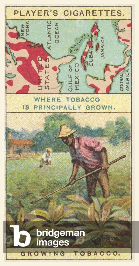 Tobacco (chromolitho)