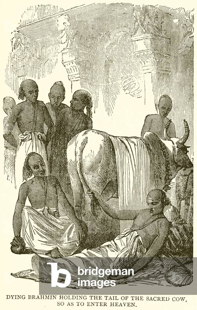 Dying Brahmin holding the tail of the Sacred Cow, so as to enter Heaven (engraving)