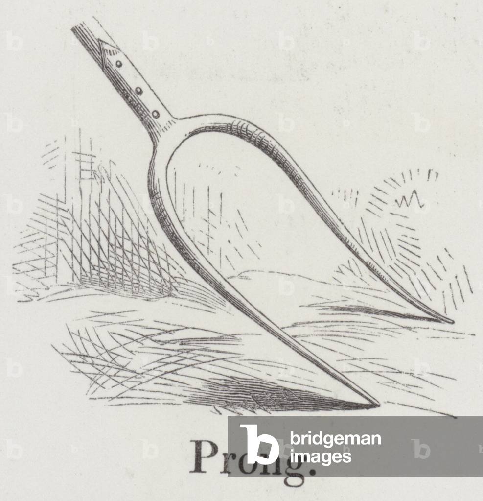 Prong (engraving)