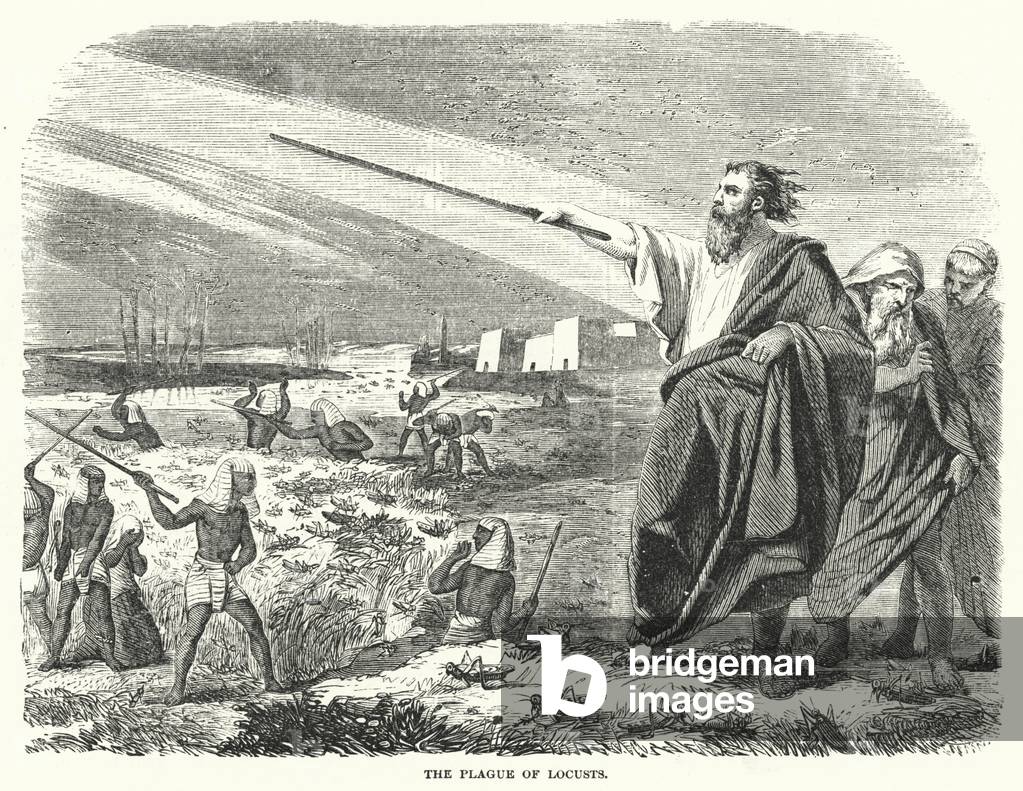 The Plague of Locusts (engraving)