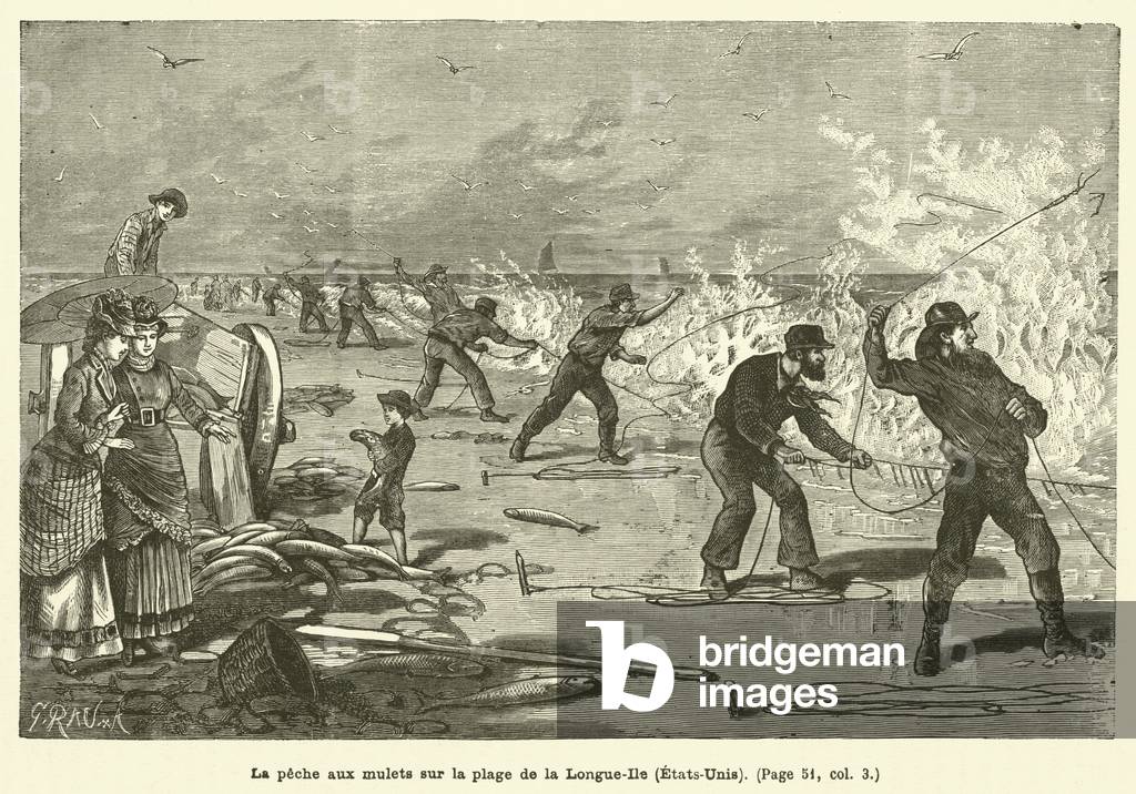 La peche aux mulets sur la plage de la Longue-Ile (Etats-Unis) (engraving)