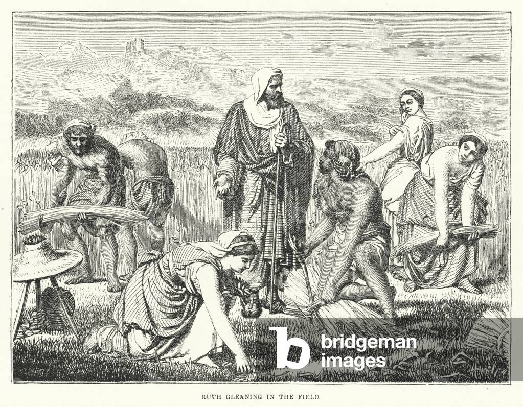 Ruth gleaning in the Field (engraving)