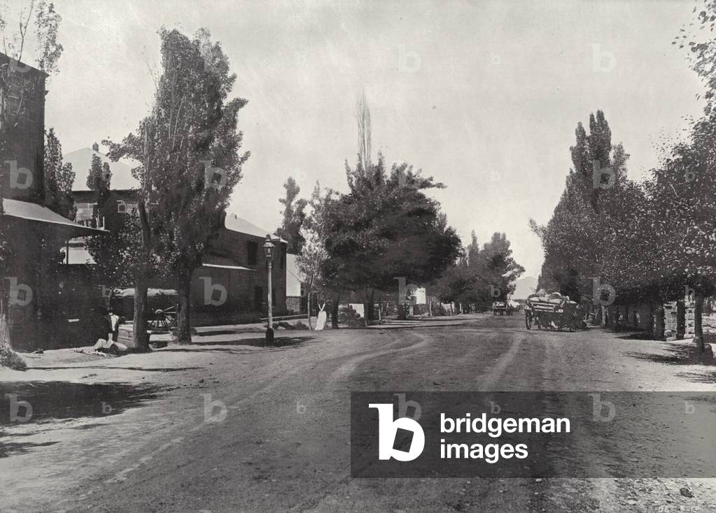 Queen Street, Oudtshoorn (b/w photo)