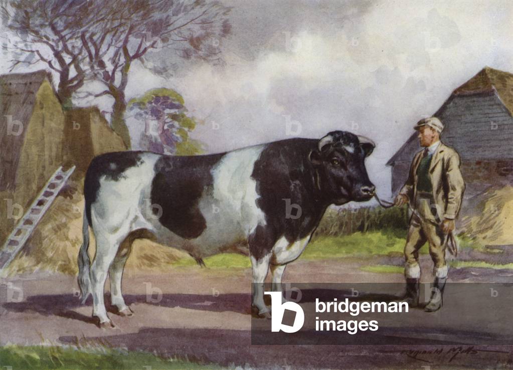 Illustration for My Farm (colour litho)