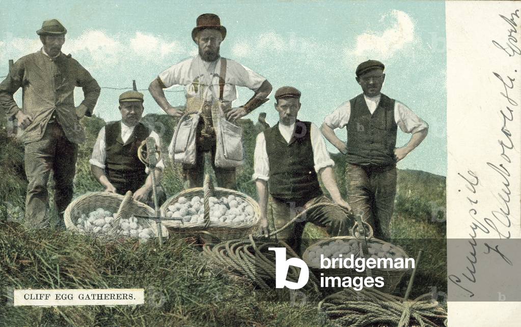 Cliff egg gatherers (colour photo)