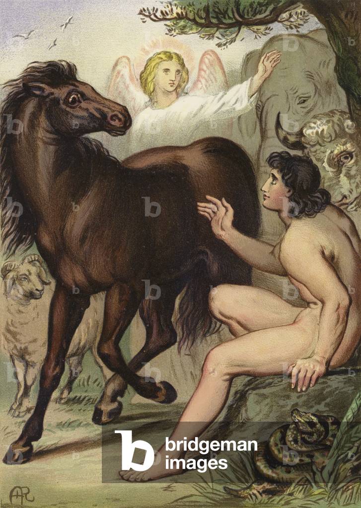 Adam naming the animals (chromolitho)