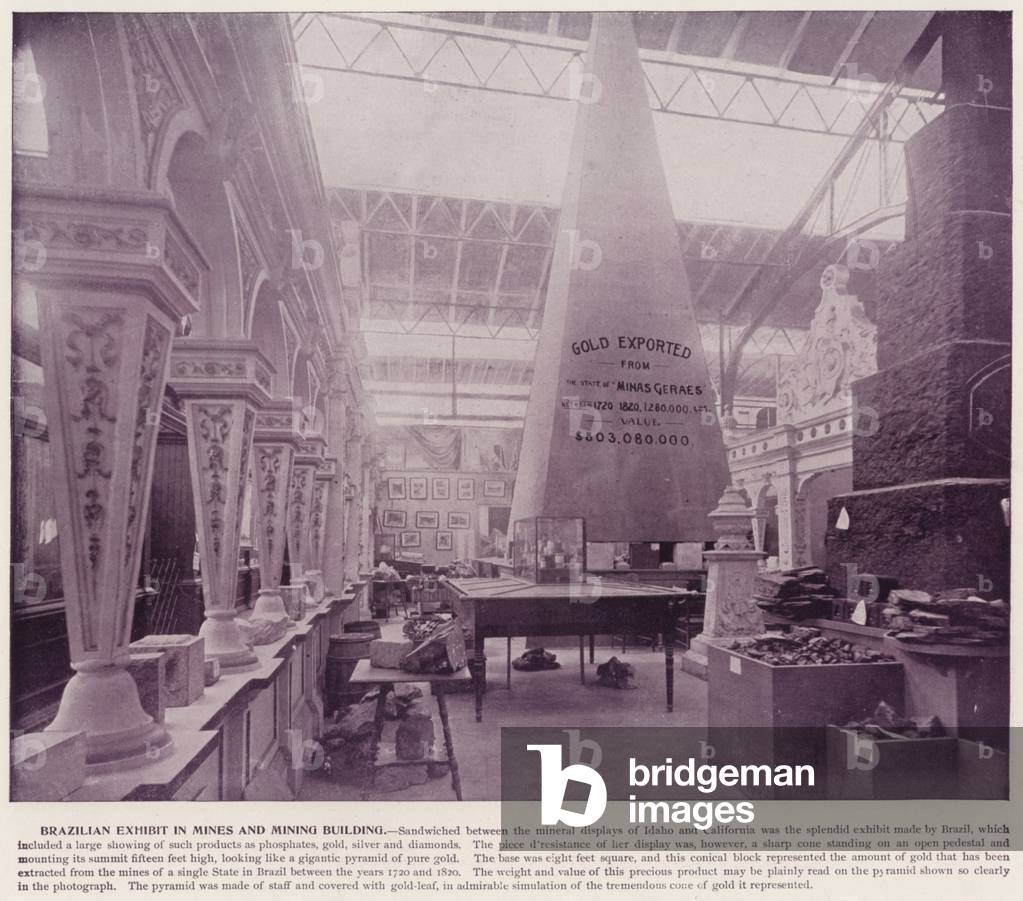 Chicago World's Fair, 1893: Brazilian Exhibit in Mines and Mining Building (b/w photo)
