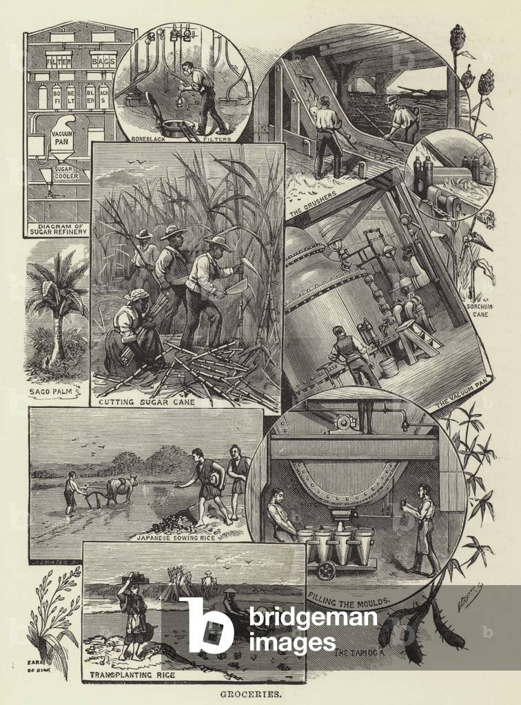 Groceries (engraving)
