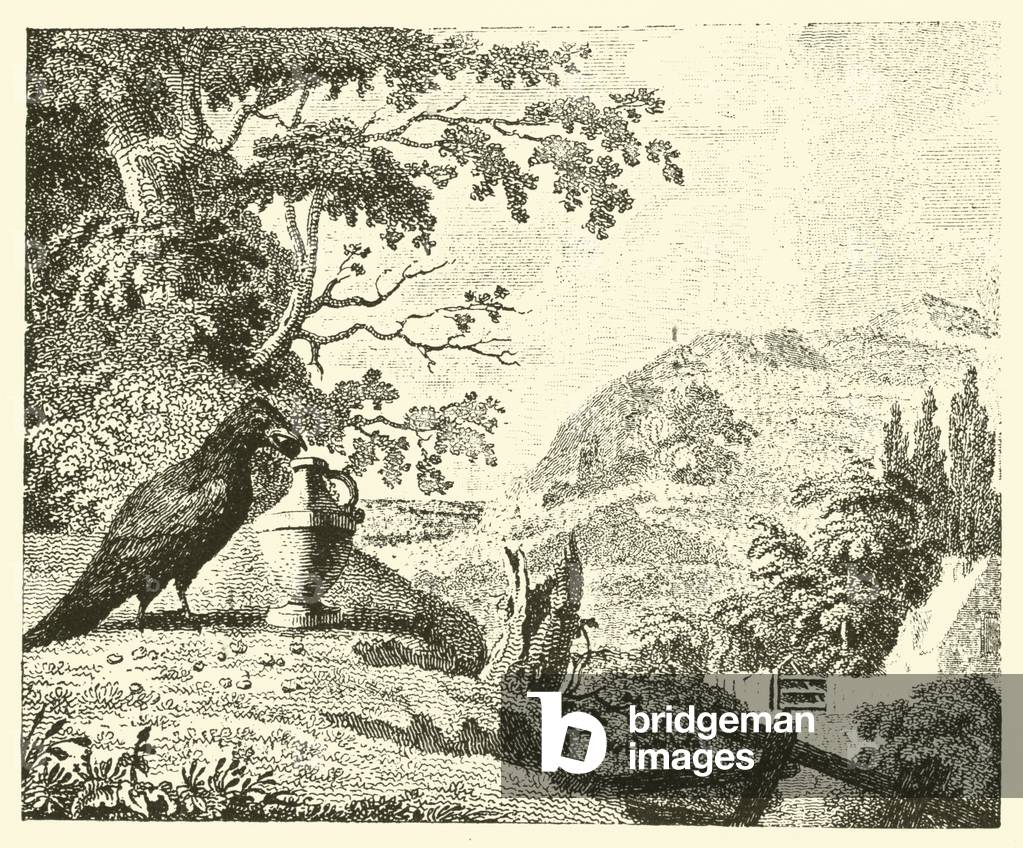 The crow and the pitcher (engraving)