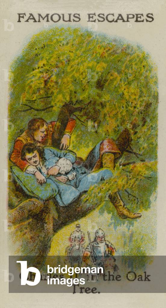 Charles II, in the Oak Tree (chromolitho)