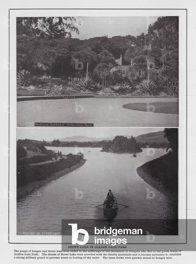 San Francisco: Stowe Lake in Golden Gate Park (b/w photo)