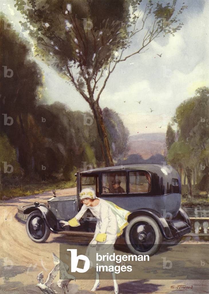 Fine Feathers (colour litho)