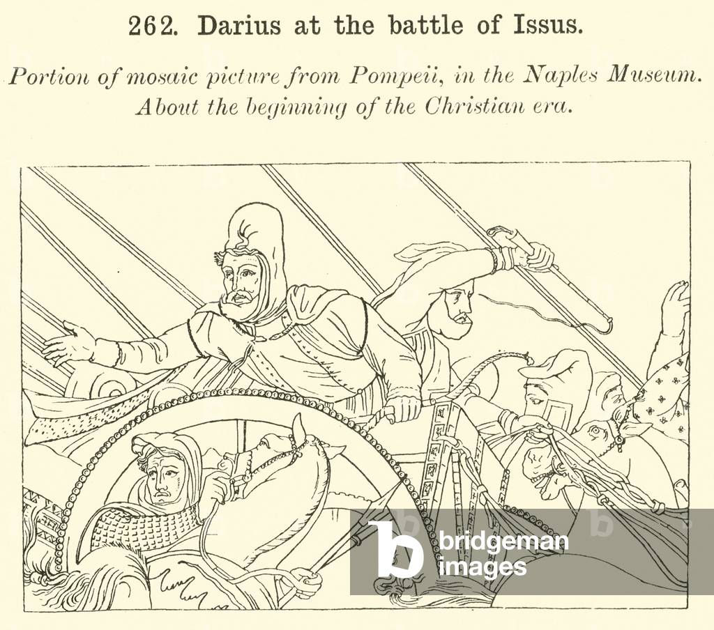 Darius at the battle of Issus (engraving)