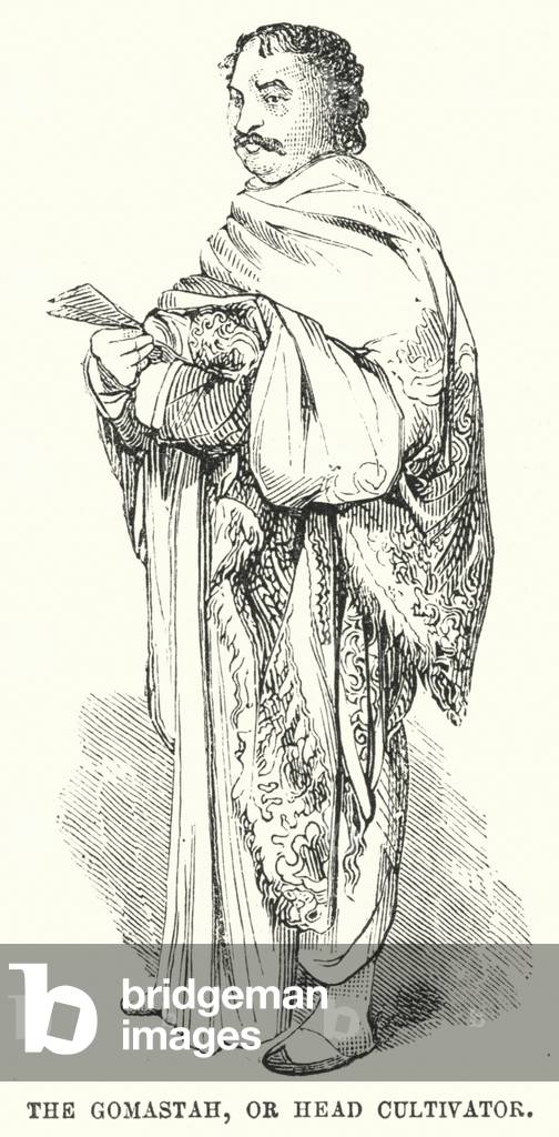 The Gomastah, or Head Cultivator (engraving)