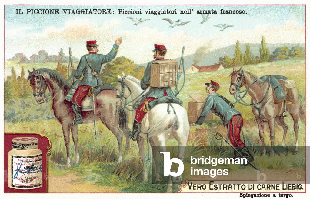 French Army carrier pigeons (chromolitho)