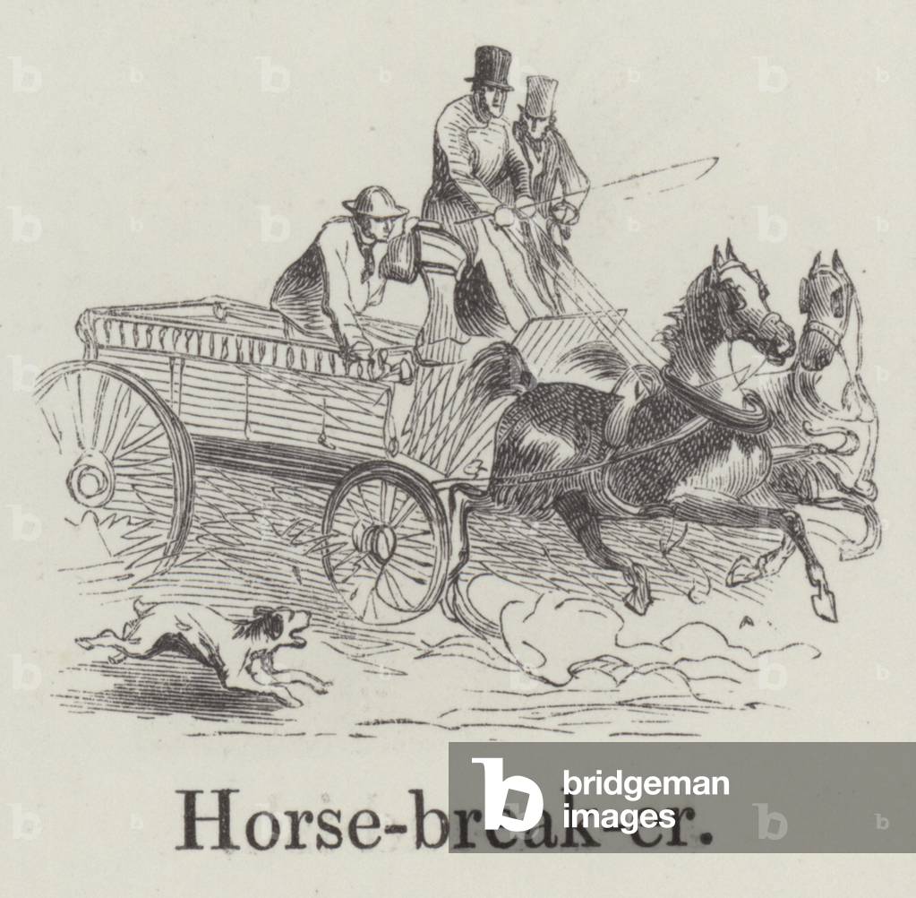 Horse breaker (engraving)