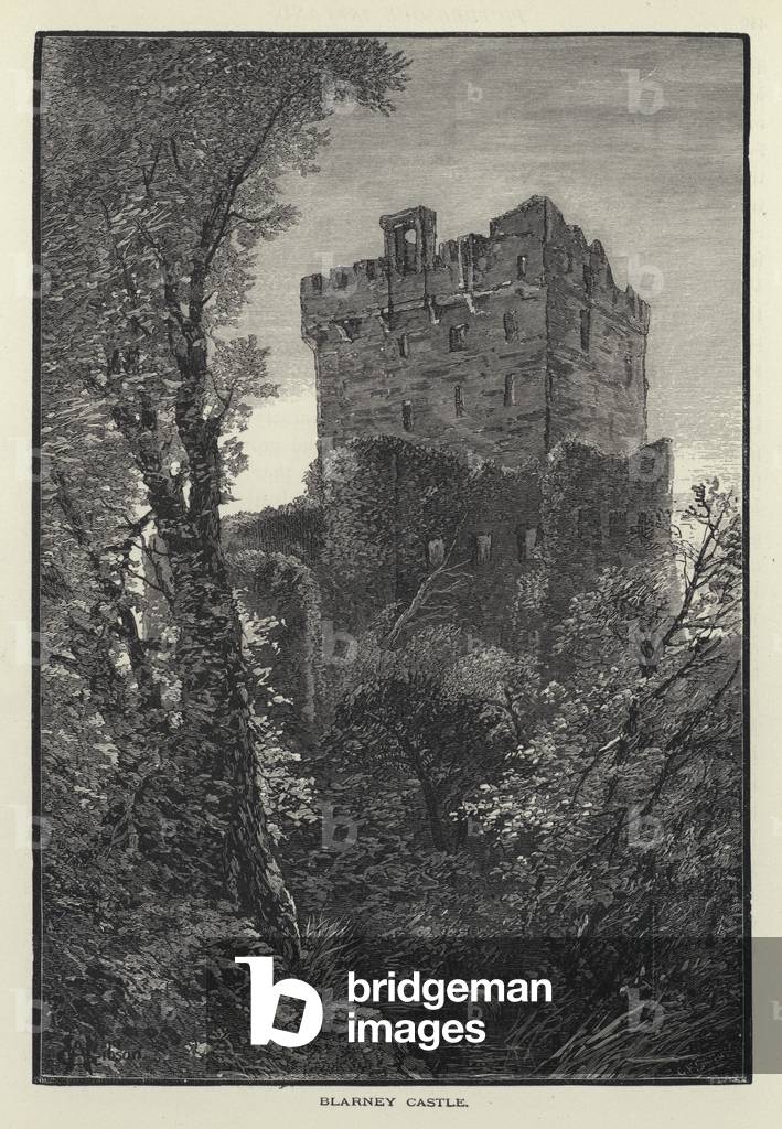 Blarney Castle (engraving)