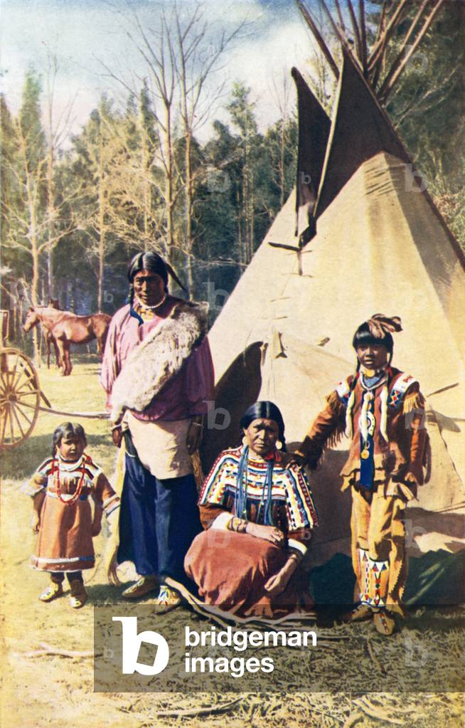 Canada: Erstwhile free rangers of the prairie (colour photo)
