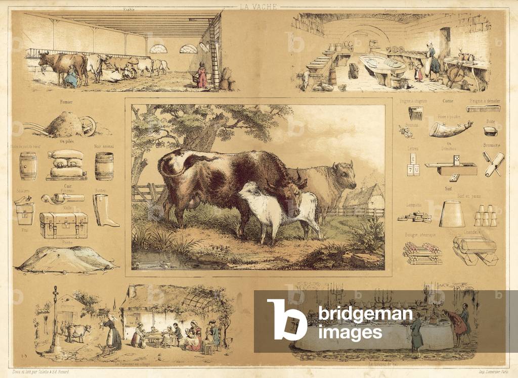 The Cow (colour litho)