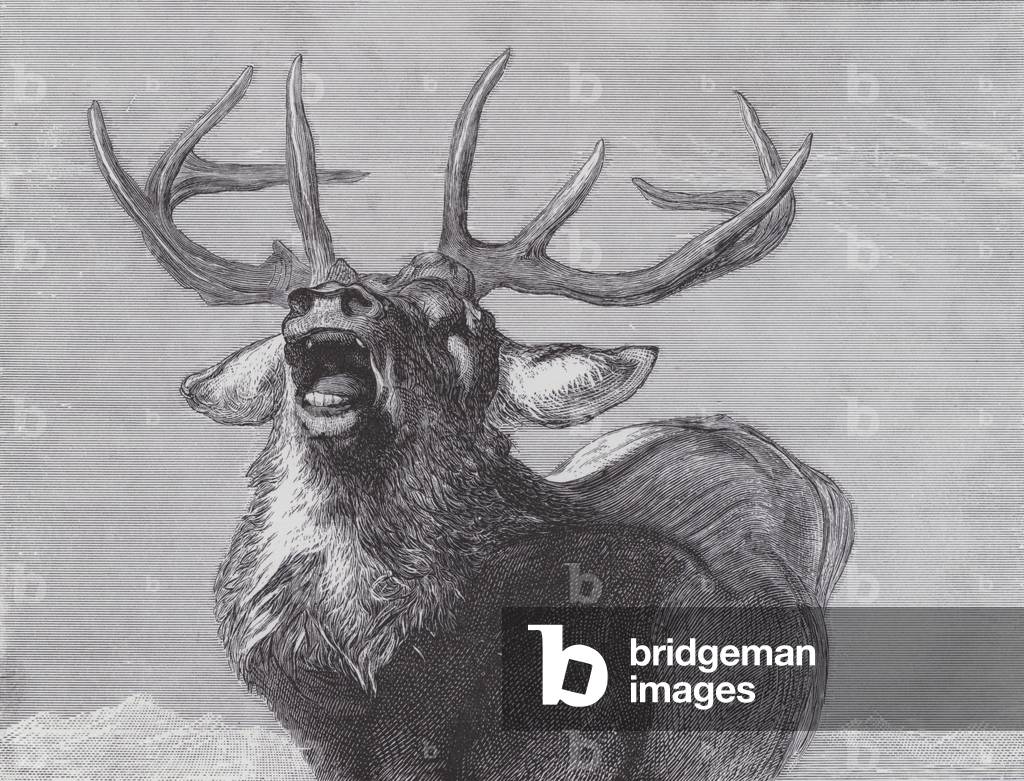 A Challenge, 1845 (engraving)